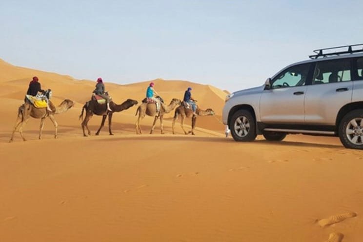 3 day camel trek across Erg Chebb