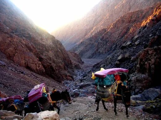 8 Day Toubkal Trek