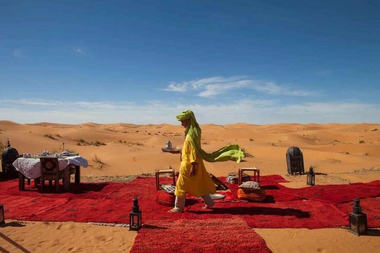 Desert Picnic Lunch