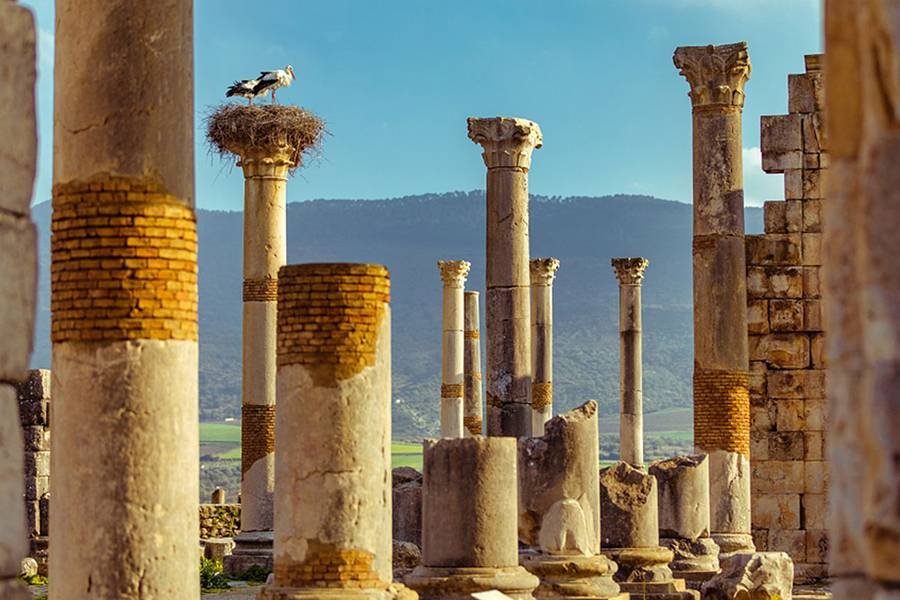 7 Day tour of the Imperial Cities