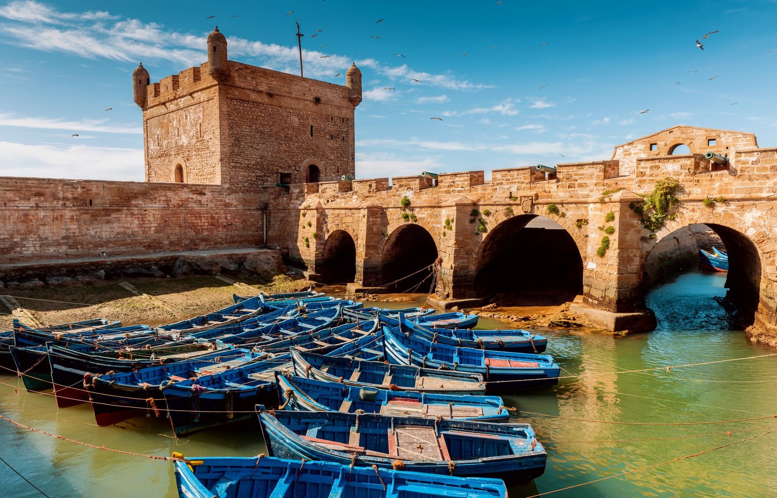 Morocco Tours