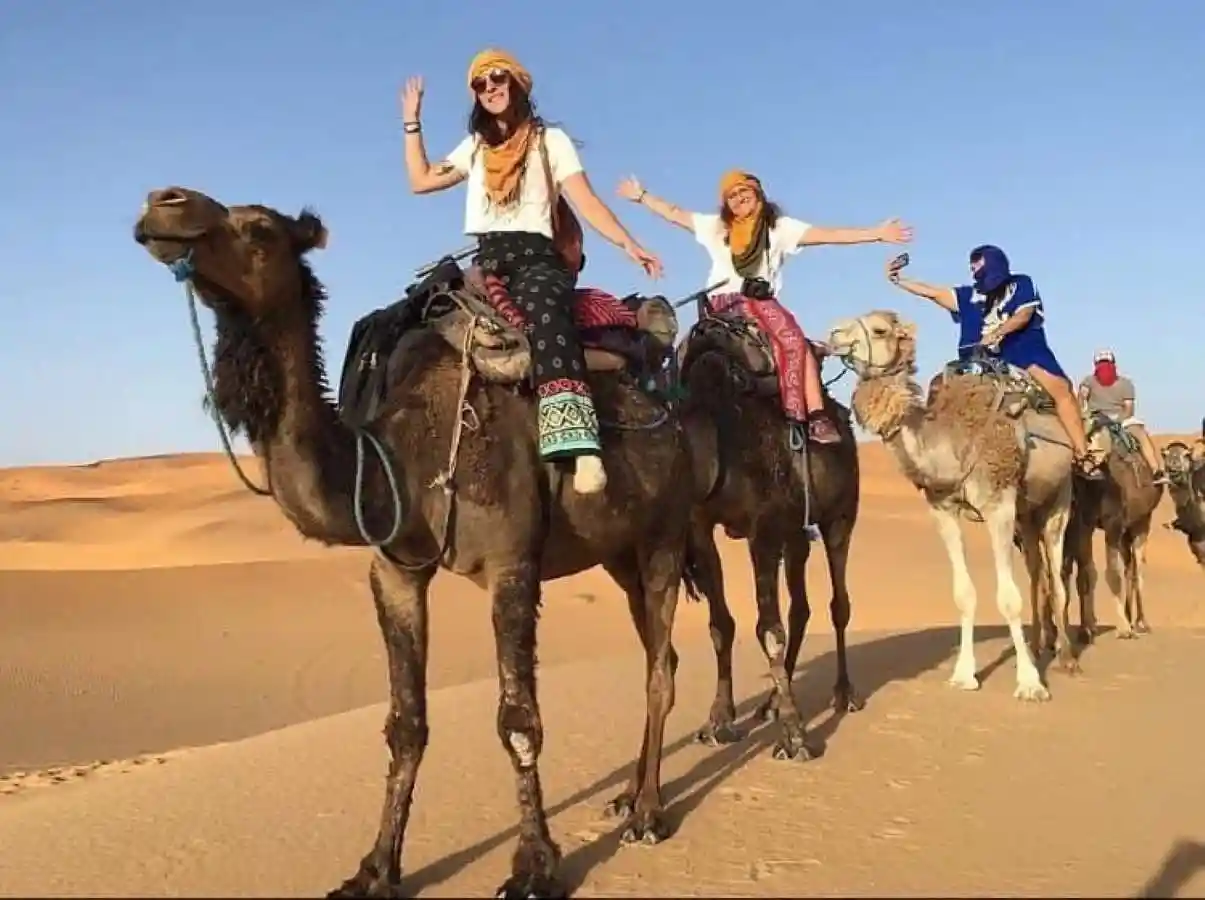 Sahara Sunset